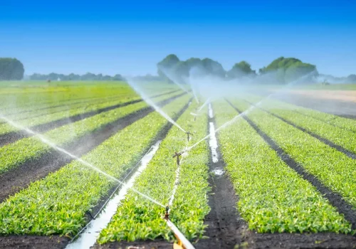 Agricultural Area Irrigation Projects